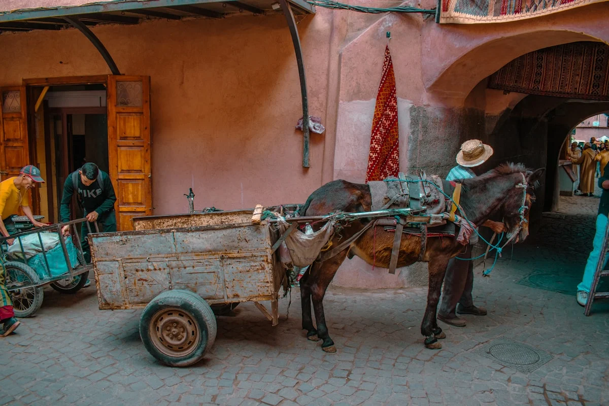 A horse-drawn cart stands in a busy alleyway.
