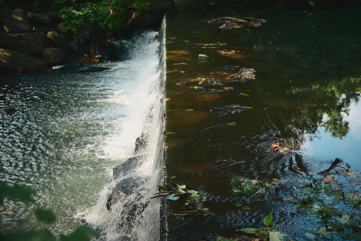 Water flowing over a small concrete dam in a stream.