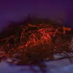 If you want to know more about saffron, you can visit our site at the following address.
http://marliksaffron.com/